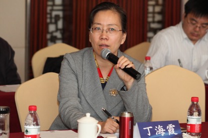 江苏省人民医院医保办主任丁海霞发言